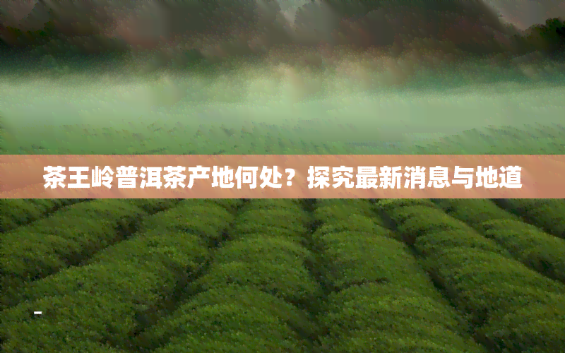 茶王岭普洱茶产地何处？探究最新消息与地道