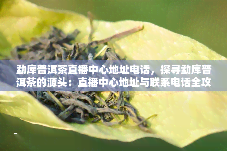 勐库普洱茶直播中心地址电话，探寻勐库普洱茶的源头：直播中心地址与联系电话全攻略