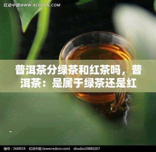 普洱茶分绿茶和红茶吗，普洱茶：是属于绿茶还是红茶？