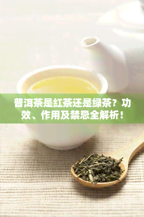 普洱茶是红茶还是绿茶？功效、作用及禁忌全解析！