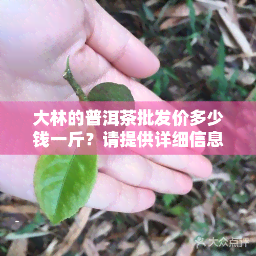 大林的普洱茶批发价多少钱一斤？请提供详细信息