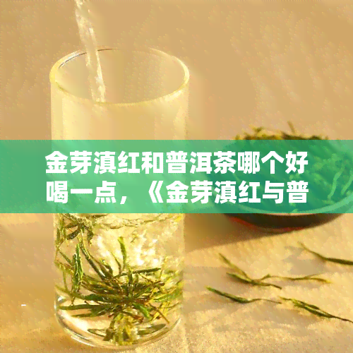 金芽滇红和普洱茶哪个好喝一点，《金芽滇红与普洱茶的口感对比，哪个更胜一筹？》