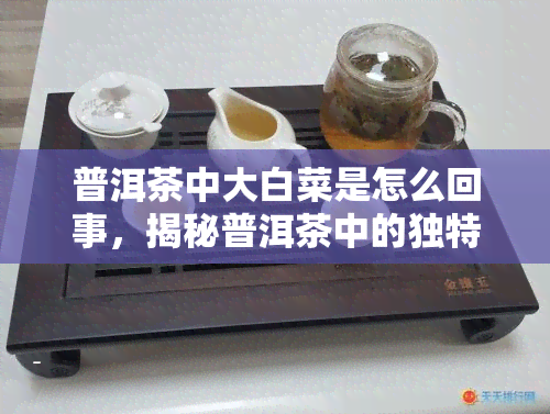 普洱茶中大白菜是怎么回事，揭秘普洱茶中的独特成分：大白菜的存在意义是什么？