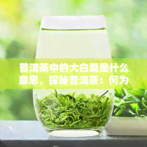 普洱茶中的大白菜是什么意思，探秘普洱茶：何为“大白菜”？