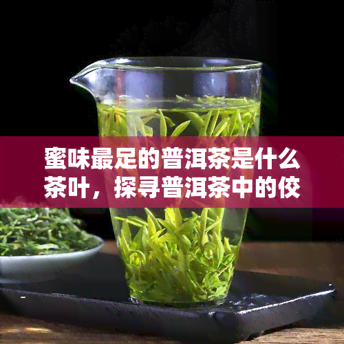 蜜味最足的普洱茶是什么茶叶，探寻普洱茶中的佼佼者：蜜味最足的茶叶是哪一款？