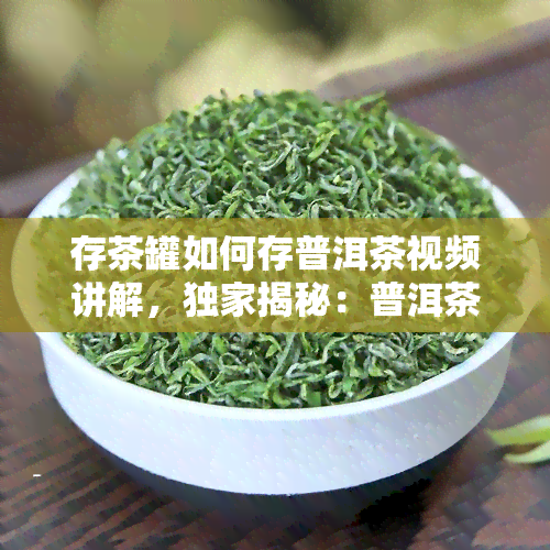 存茶罐如何存普洱茶视频讲解，独家揭秘：普洱茶的正确存方法，让你的存茶罐不再空荡荡！