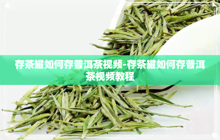 存茶罐如何存普洱茶视频-存茶罐如何存普洱茶视频教程