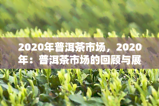 2020年普洱茶市场，2020年：普洱茶市场的回顾与展望