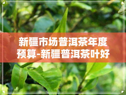 新疆市场普洱茶年度预算-新疆普洱茶叶好卖