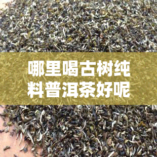 哪里喝古树纯料普洱茶好呢，寻找古树纯料普洱茶品尝地