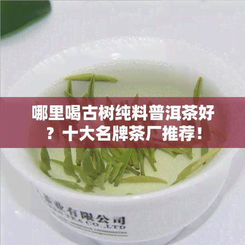 哪里喝古树纯料普洱茶好？十大名牌茶厂推荐！