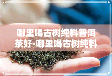 哪里喝古树纯料普洱茶好-哪里喝古树纯料普洱茶好呢