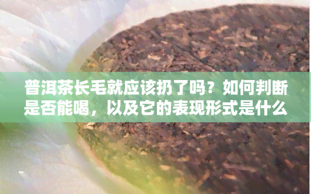 普洱茶长毛就应该扔了吗？如何判断是否能喝，以及它的表现形式是什么？