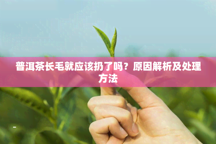 普洱茶长毛就应该扔了吗？原因解析及处理方法