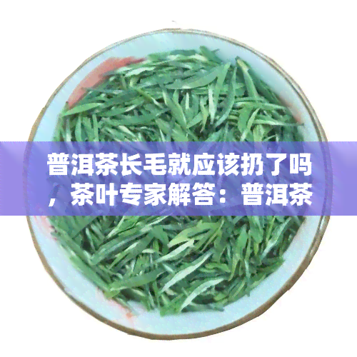 普洱茶长毛就应该扔了吗，茶叶专家解答：普洱茶长毛还能喝吗？