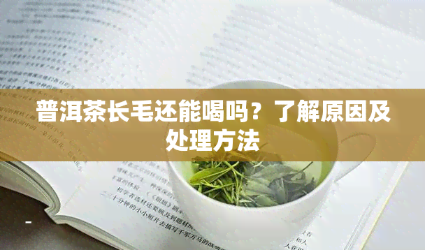 普洱茶长毛还能喝吗？了解原因及处理方法