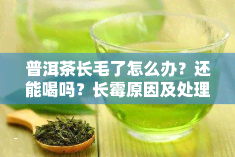 普洱茶长毛了怎么办？还能喝吗？长霉原因及处理方法