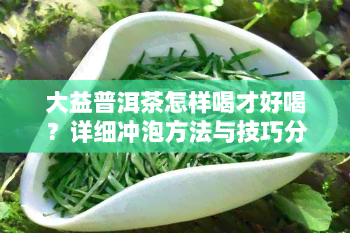 大益普洱茶怎样喝才好喝？详细冲泡方法与技巧分享