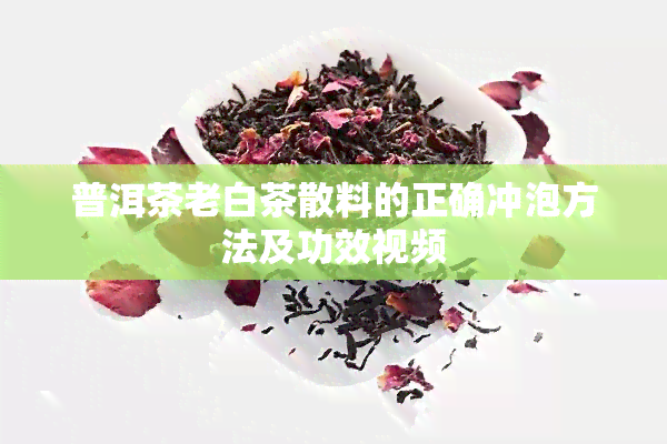 普洱茶老白茶散料的正确冲泡方法及功效视频