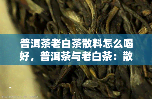 普洱茶老白茶散料怎么喝好，普洱茶与老白茶：散料的正确冲泡方法与品尝技巧