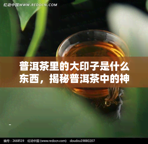 普洱茶里的大印子是什么东西，揭秘普洱茶中的神秘大印子，它究竟是什么？