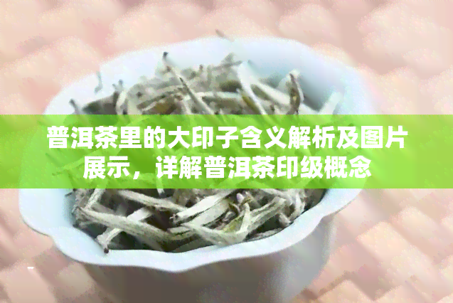 普洱茶里的大印子含义解析及图片展示，详解普洱茶印级概念