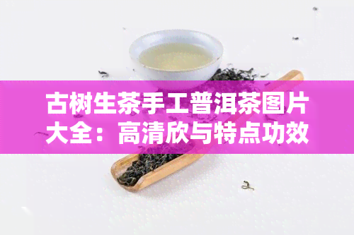 古树生茶手工普洱茶图片大全：高清欣与特点功效介绍