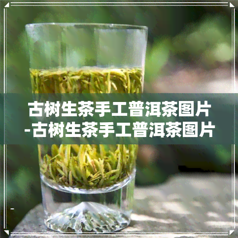 古树生茶手工普洱茶图片-古树生茶手工普洱茶图片大全