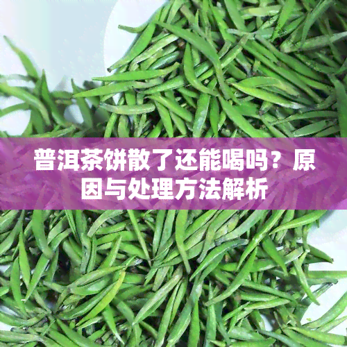 普洱茶饼散了还能喝吗？原因与处理方法解析