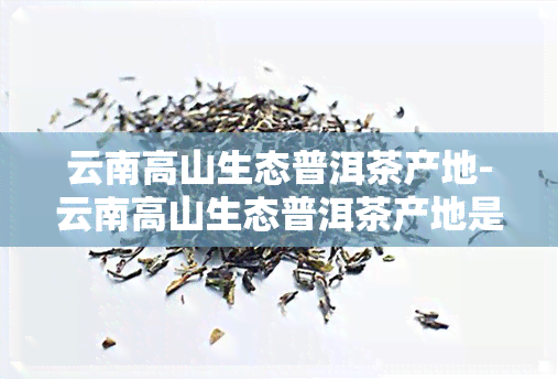 云南高山生态普洱茶产地-云南高山生态普洱茶产地是哪里