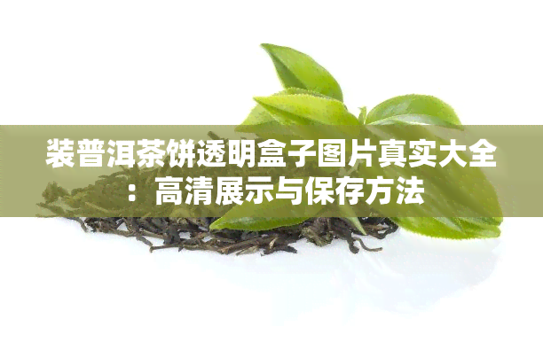 装普洱茶饼透明盒子图片真实大全：高清展示与保存方法