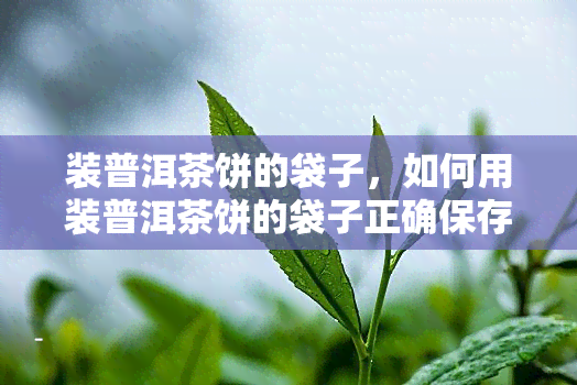 装普洱茶饼的袋子，如何用装普洱茶饼的袋子正确保存茶叶？