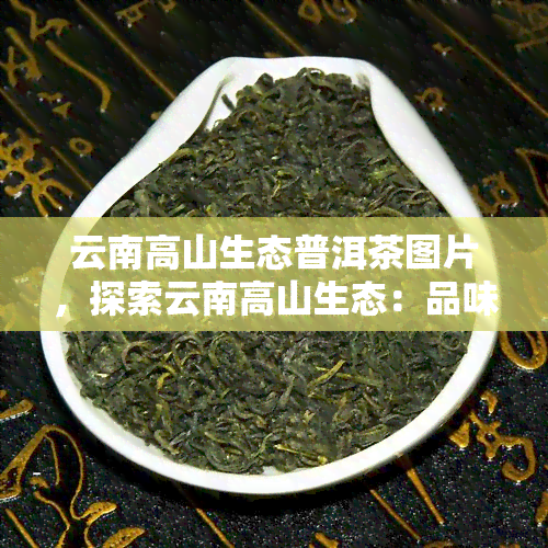 云南高山生态普洱茶图片，探索云南高山生态：品味普洱茶的美妙图片