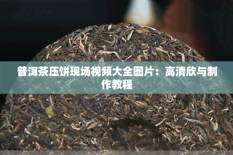 普洱茶压饼现场视频大全图片：高清欣与制作教程