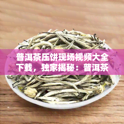 普洱茶压饼现场视频大全下载，独家揭秘：普洱茶压饼全过程！现场视频大全免费下载