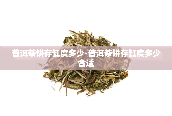 普洱茶饼存缸度多少-普洱茶饼存缸度多少合适