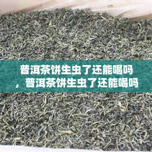 普洱茶饼生虫了还能喝吗，普洱茶饼生虫了还能喝吗？专家解答