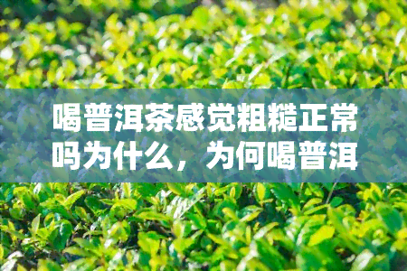 喝普洱茶感觉粗糙正常吗为什么，为何喝普洱茶会有粗糙感？是否正常？