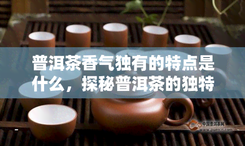 普洱茶香气独有的特点是什么，探秘普洱茶的独特香气特征