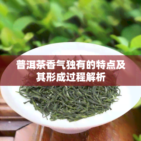 普洱茶香气独有的特点及其形成过程解析