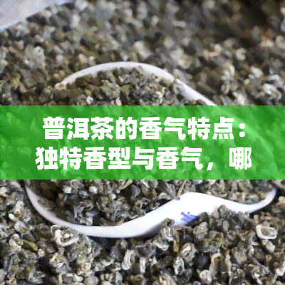 普洱茶的香气特点：独特香型与香气，哪种？