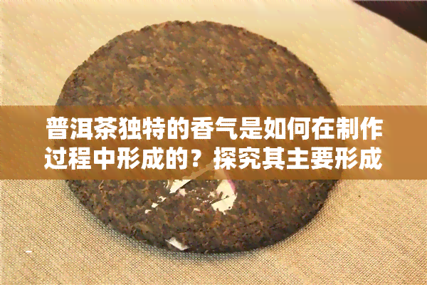 普洱茶独特的香气是如何在制作过程中形成的？探究其主要形成途径与常见香气类型