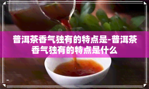 普洱茶香气独有的特点是-普洱茶香气独有的特点是什么