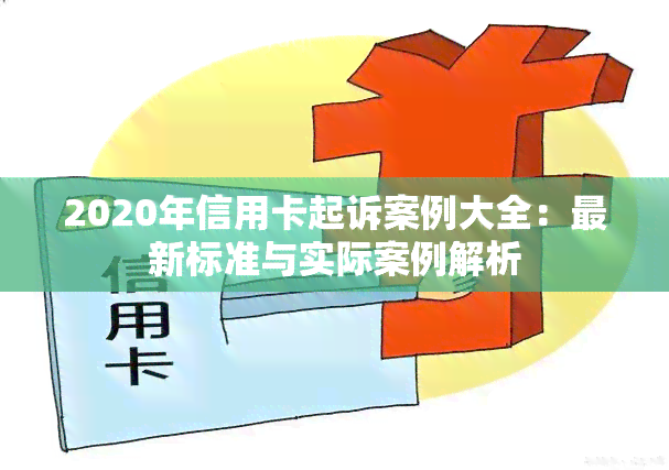 2020年信用卡起诉案例大全：最新标准与实际案例解析