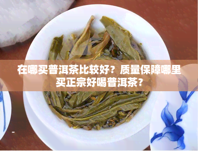 在哪买普洱茶比较好？质量保障哪里买正宗好喝普洱茶？