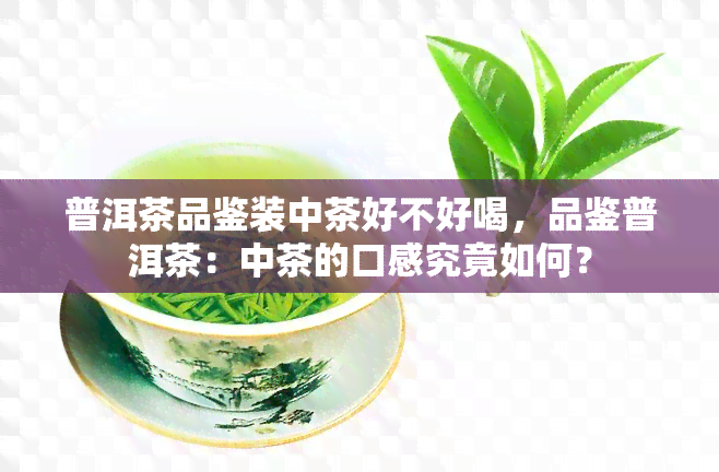 普洱茶品鉴装中茶好不好喝，品鉴普洱茶：中茶的口感究竟如何？