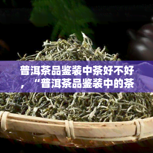 普洱茶品鉴装中茶好不好，“普洱茶品鉴装中的茶：值得品尝吗？”