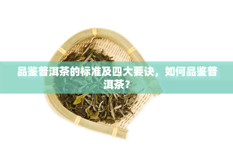 品鉴普洱茶的标准及四大要诀，如何品鉴普洱茶？