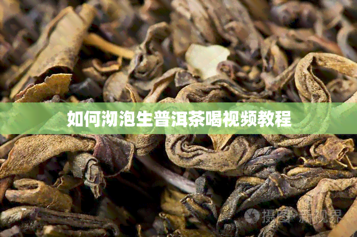 如何沏泡生普洱茶喝视频教程