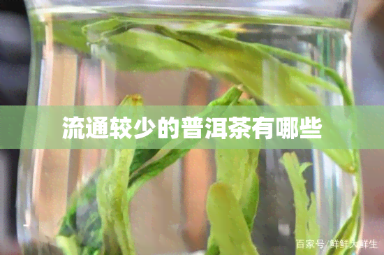 流通较少的普洱茶有哪些